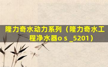 隆力奇水动力系列（隆力奇水工程净水器o s _5201）